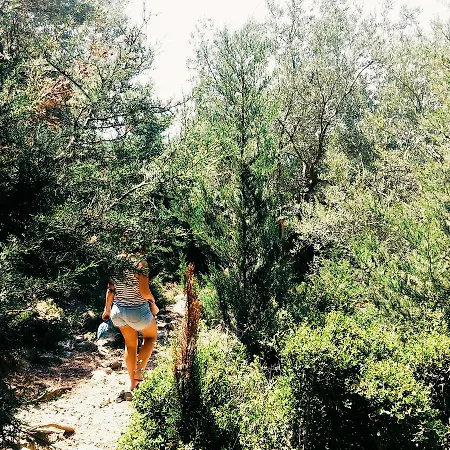 Aparthotel Sezar's Qeparo